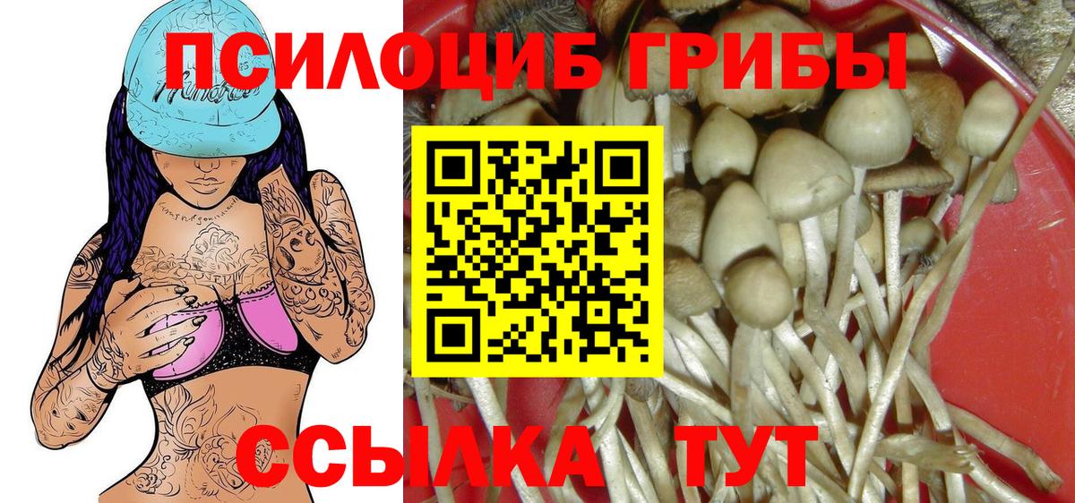 Моздок  наркошоп  Вход с VPN  Галлюциногенные грибы прущие грибы  Псилоцибиновые грибы Cubensis 